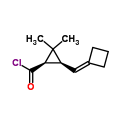 Cyclopropanecarbonyl chloride, 3-(cyclobutylidenemethyl)-2,2-dimethyl-, (1R-cis)- (9CI) picture