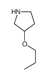 (R)-3-PROPOXY-PYRROLIDINE Structure