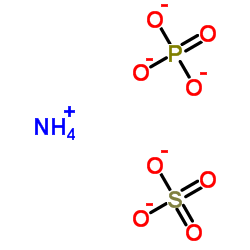 95500-17-7 structure