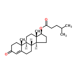 Testosterone Isocaproate structure