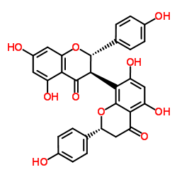 220611-41-6 structure