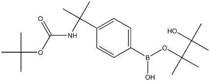 4-[2-(Boc-amino)-2-propyl]phenylboronic Acid Pinacol Ester结构式