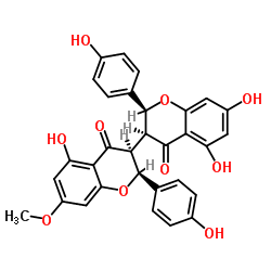 7-Methoxyneochamaejasmine A structure