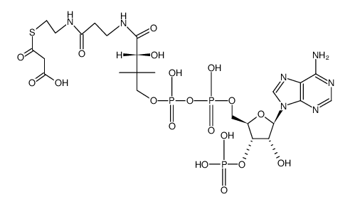 Malonyl CoA Structure