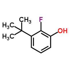 3-tert-butyl-2-fluorophenol structure