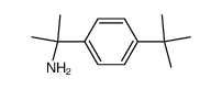 2-(4-tert-butylphenyl)propan-2-amine picture