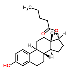 17-epi Estradiol Valerate picture