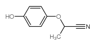 Propanenitrile, 2-(4-hydroxyphenoxy)- (9CI) structure