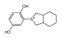 2-(1,3,3a,4,5,6,7,7a-octahydro-2-benzothiophen-2-ium-2-yl)benzene-1,4-diol结构式