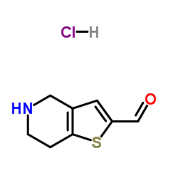 4,5,6,7-Tetrahydrothieno[3,2-c]pyridine-2-carbaldehyde hydrochloride (1:1) Structure