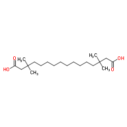 MEDICA 16 structure