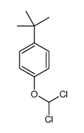 1-tert-butyl-4-(dichloromethoxy)benzene结构式