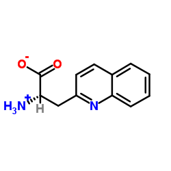 3-(2-喹啉基)-DL-丙氨酸结构式