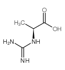 2-GUANIDINOPROPIONIC ACID图片