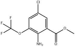 1805514-97-9 structure