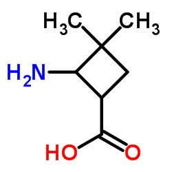 2-Amino-3,3-dimethylcyclobutanecarboxylic acid Structure