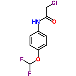 554440-01-6 structure