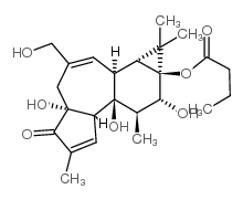 Phorbol 13-butanoate Structure