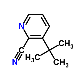 3-(tert-Butyl)picolinonitrile Structure