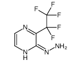 2-Hydrazino-3-(pentafluoroethyl)pyrazine结构式