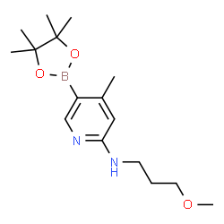 N-(3-Methoxypropyl)-4-Methyl-5-(4,4,5,5-tetramethyl-1,3,2-dioxaborolan-2-yl)pyridin-2-amine结构式