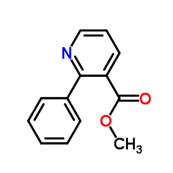 Methyl 2-phenylnicotinate picture