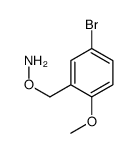 O-[(5-bromo-2-methoxy-phenyl)methyl]hydroxylamine结构式