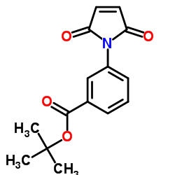 3-(2,5-DIOXO-2,5-DIHYDRO-PYRROL-1-YL)-BENZOIC ACID TERT-BUTYL ESTER picture