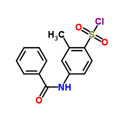 4-BENZOYLAMINO-2-METHYLBENZENESULFONYLCHLORIDE picture