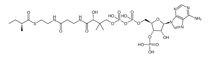 87069-91-8 structure