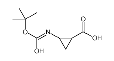 2-((tert-Butoxycarbonyl)amino)cyclopropanecarboxylic acid picture