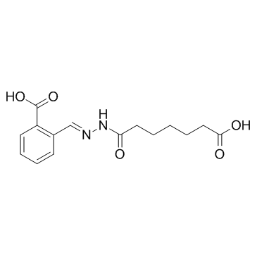 IDE 1 Structure