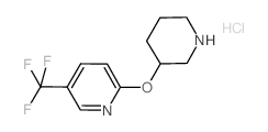 2-(3-Piperidinyloxy)-5-(trifluoromethyl)pyridine hydrochloride Structure