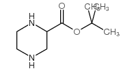 tert-Butyl 2-piperazinecarboxylate Structure