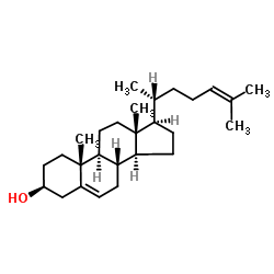 313-04-2结构式