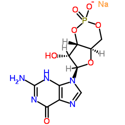 鸟苷3',5'-环一磷酸钠盐(cGMP)图片