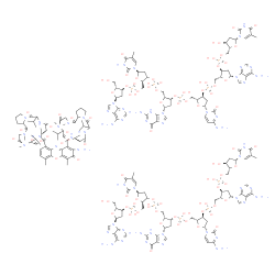 actinomycin D-dATGCAT complex结构式