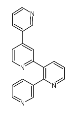 NEMERTELLINE picture