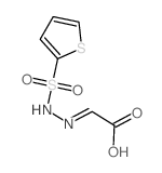 Acetic acid, [(2-thienylsulfonyl)hydrazono]- Structure