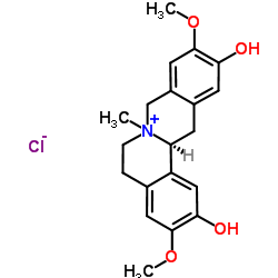 盐酸黄柏碱图片