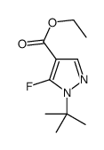 ETHYL1-TERT-BUTYL-5-FLUORO-1H-PYRAZOLE-4-CARBOXYLATE picture