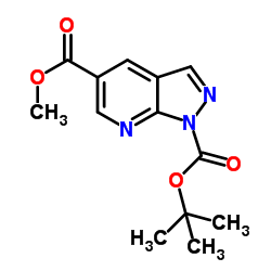 5-Methyl 1-(2-methyl-2-propanyl) 1H-pyrazolo[3,4-b]pyridine-1,5-dicarboxylate图片