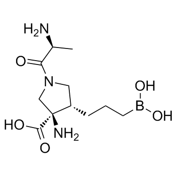 CB-1158图片