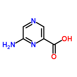 6-Aminopyrazine-2-carboxylicacid Structure