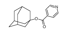 1-adamantyl pyridine-4-carboxylate Structure