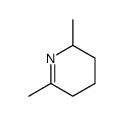 2,6-dimethyl-2,3,4,5-tetrahydropyridine Structure