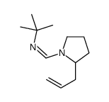 N-tert-butyl-1-(2-prop-2-enylpyrrolidin-1-yl)methanimine Structure