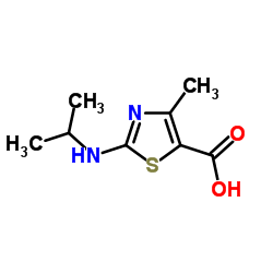 2-(Isopropylamino)-4-methyl-1,3-thiazole-5-carboxylic acid Structure