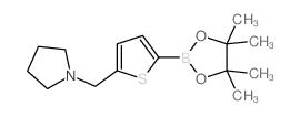 1-((5-(4,4,5,5-TETRAMETHYL-1,3,2-DIOXABOROLAN-2-YL)THIOPHEN-2-YL)METHYL)PYRROLIDINE picture