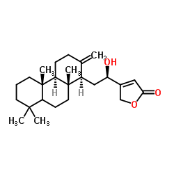 hamiltonin E Structure